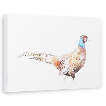 Tablou canvas - Laura Dennis - Fazan, 60 x 90 cm Tablou canvas - Laura Dennis - Fazan, 60 x 90 cm