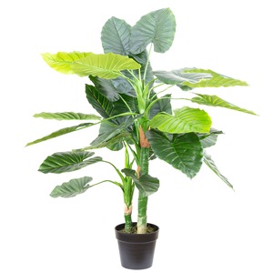 See you tomorrow Seduce Korea Planta artificiala Taro Colocasia in ghiveci, 120 cm, Verde - eMAG.ro