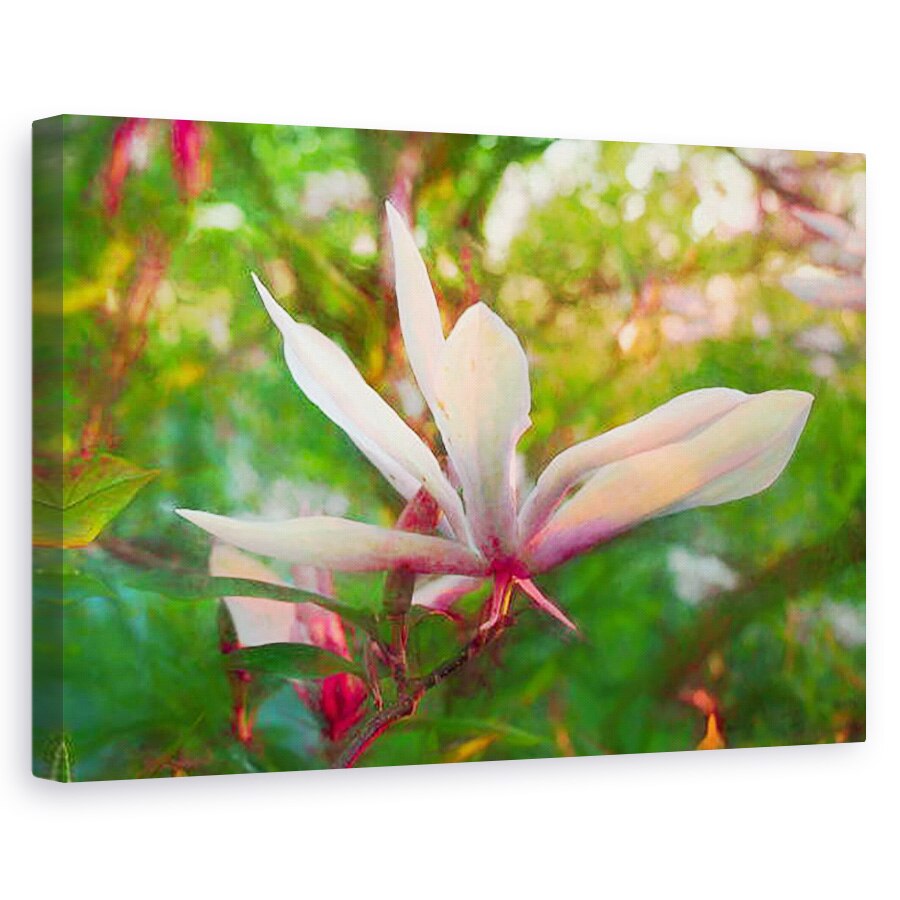 Tablou canvas - Helen White - Magnolia, 2018, 60 x 90 cm