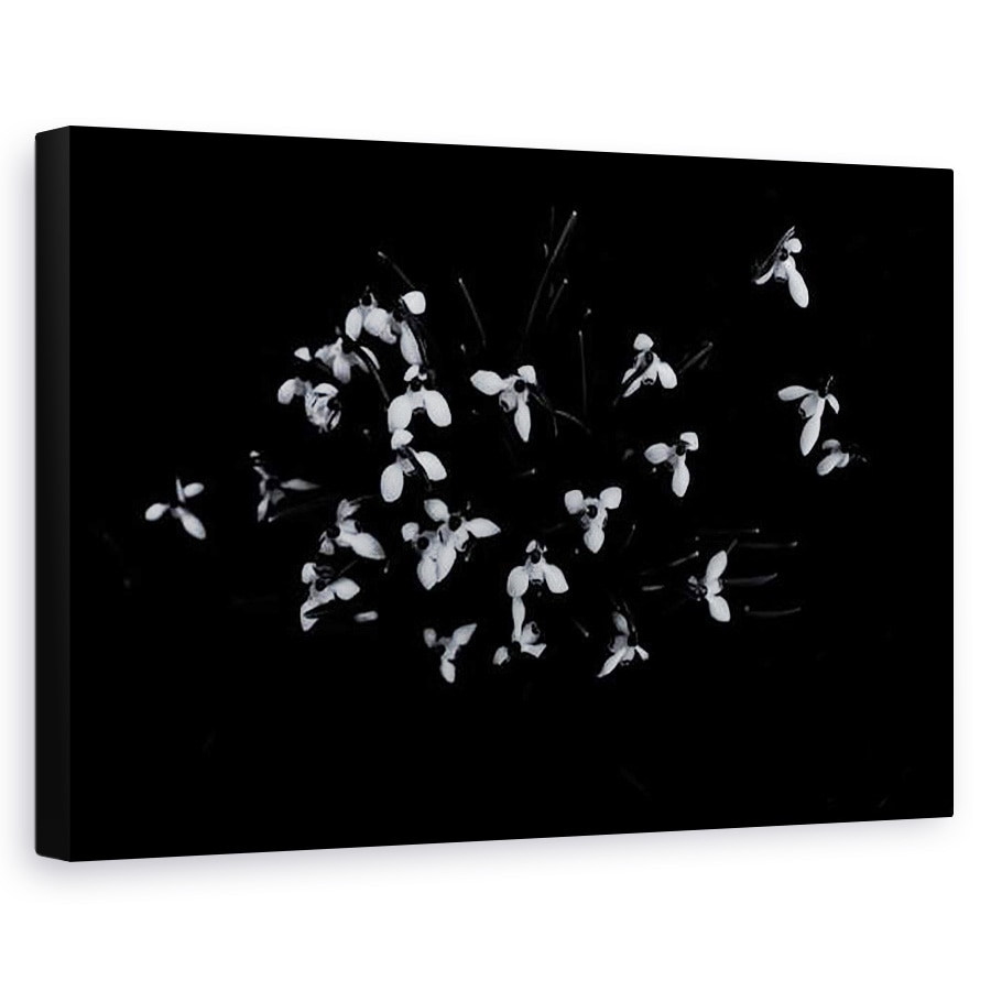 Tablou canvas - Sylver Bernat - Renacer, 2019, 80 x 120cm