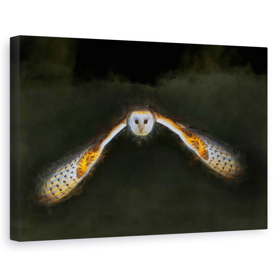 Tablou canvas - Helen White - Zbor de noapte, 2018, 60 x 90 cm