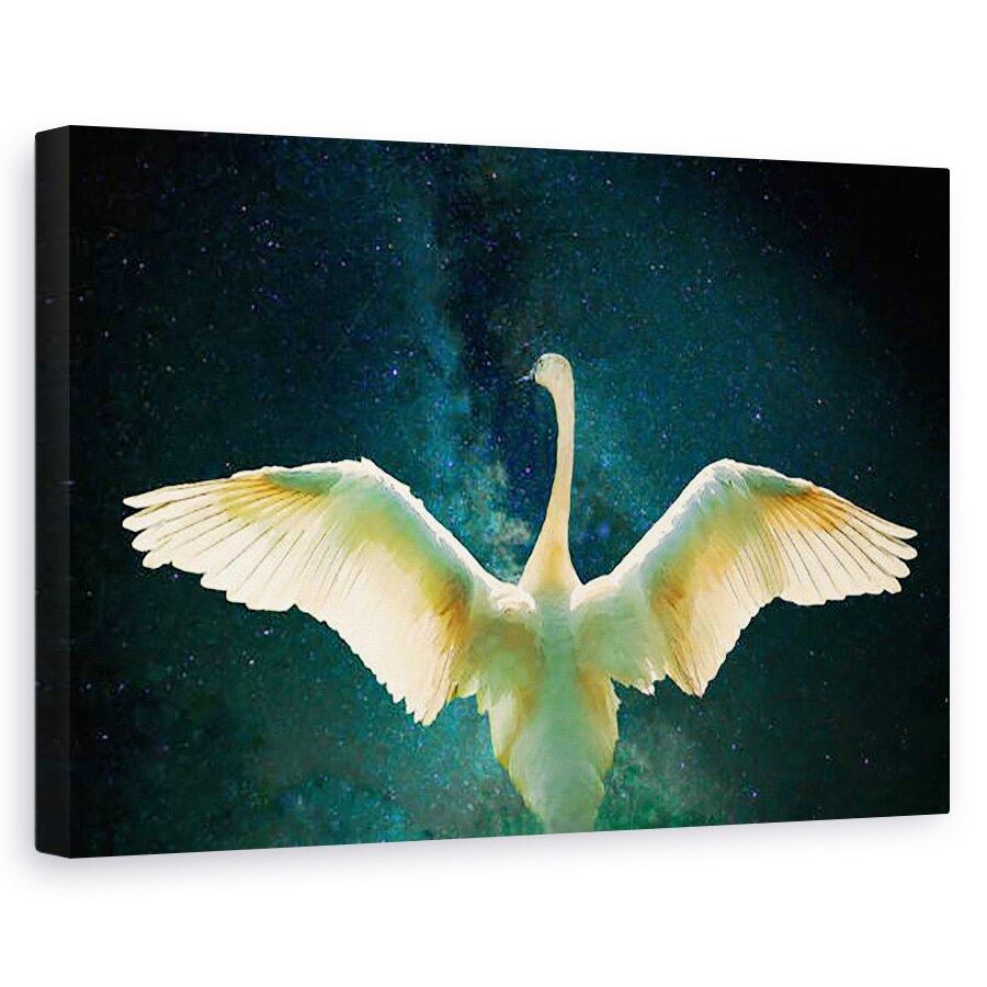 Tablou canvas - Helen White - Cygnus, 2017, 40 x 60 cm