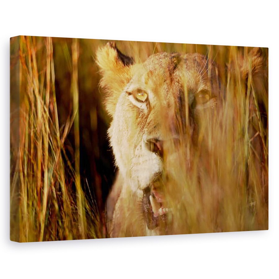 Tablou canvas - Eric Meyer - Leul in iarba, 2019, 60 x 90 cm