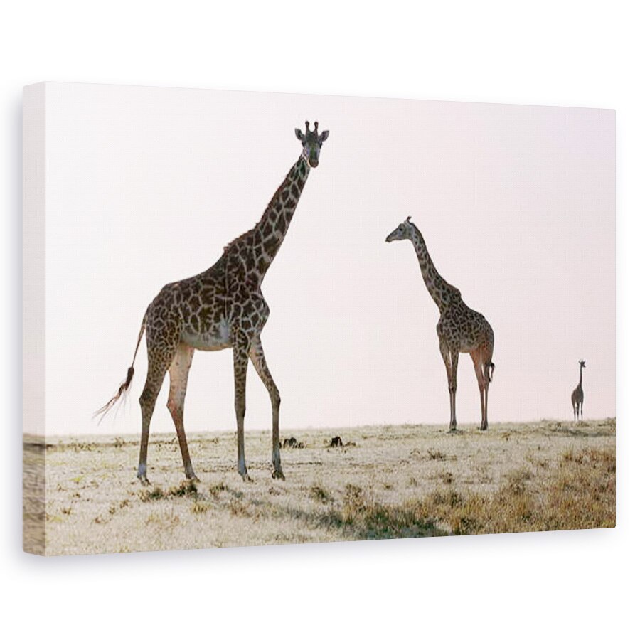 Tablou canvas - Eric Meyer - Trei, 60 x 90 cm