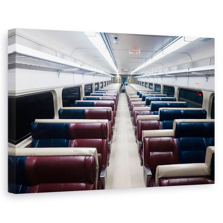 Tablou canvas - Guilherme Pontes - Tren spre Beacon Nº2, 60 x 90 cm