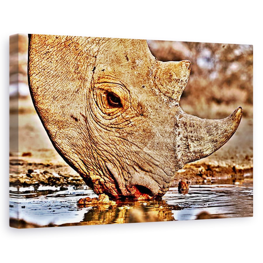 Tablou canvas - Eric Meyer - Negru de baut Rhino, 80 x 120cm
