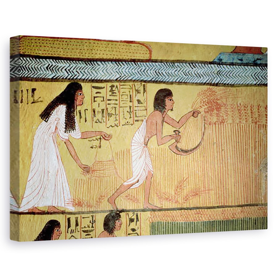 Tablou canvas - Egyptian 19th Dynasty - Detaliu al unei scene de recoltare pe Zidul de Est, de la Mormantul din Sennedjem, Satul Muncitorilor, 80 x 120cm