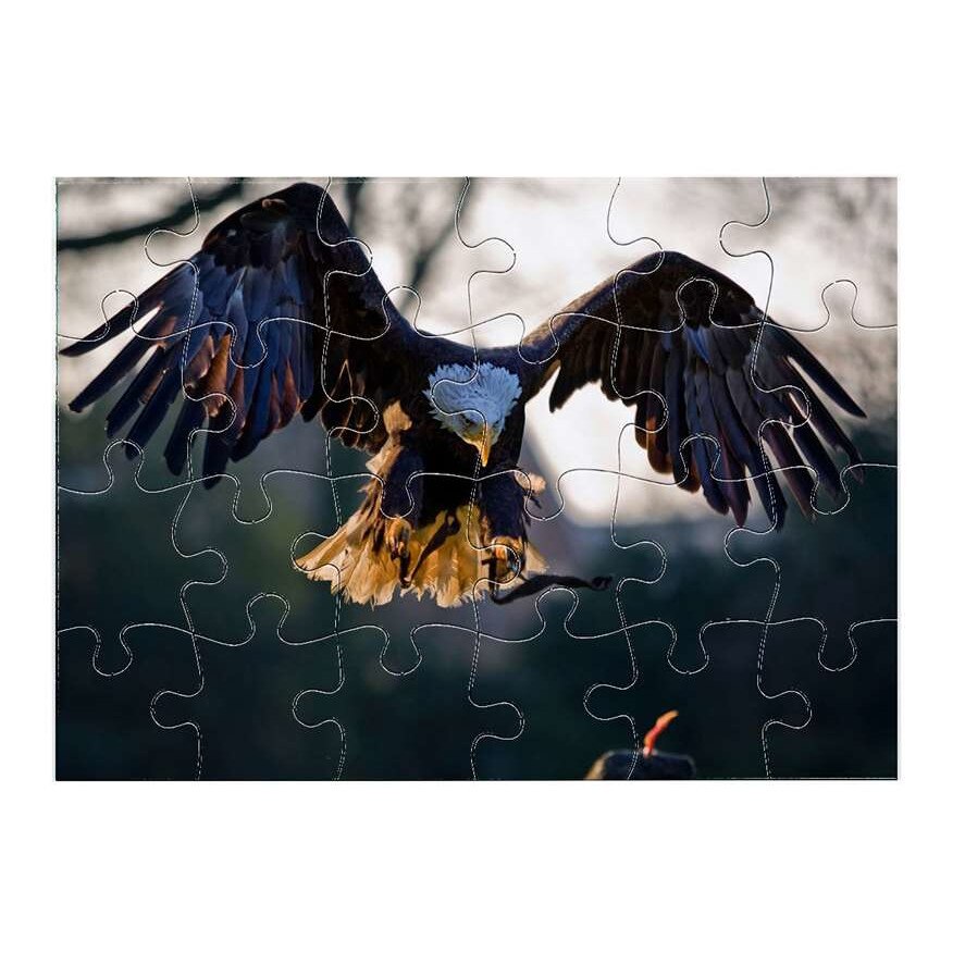 Sas madár 11011 puzzle 24 darabos - eMAG.hu