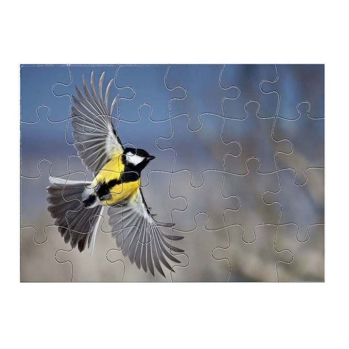 Madár, madaras 1411 puzzle 24 darabos