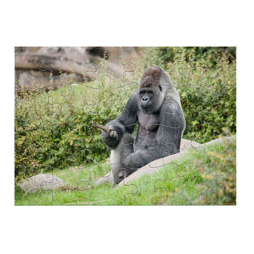 Gorilla 1711 Puzzle 24 Darabos Emag Hu