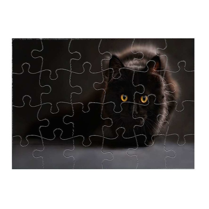 Пъзел Черна котка 5811 24 части