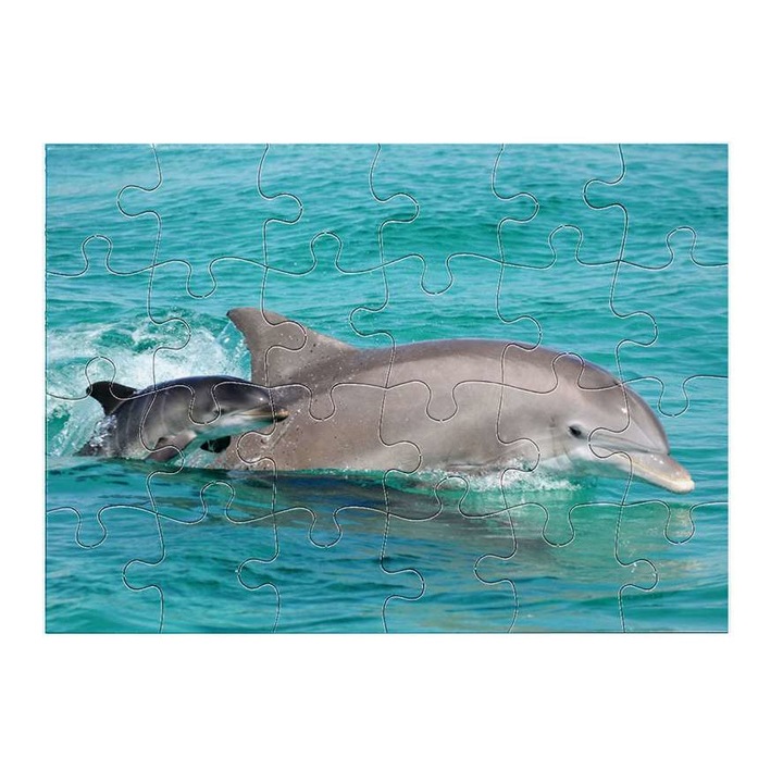 Delfin 1511 puzzle 24 darabos