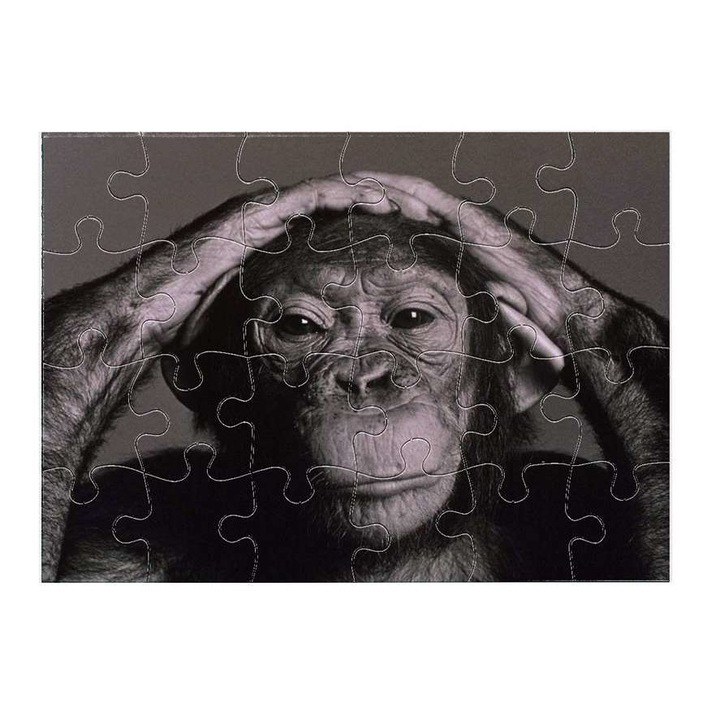 Пъзел, Шимпанзе 1311, 24 части