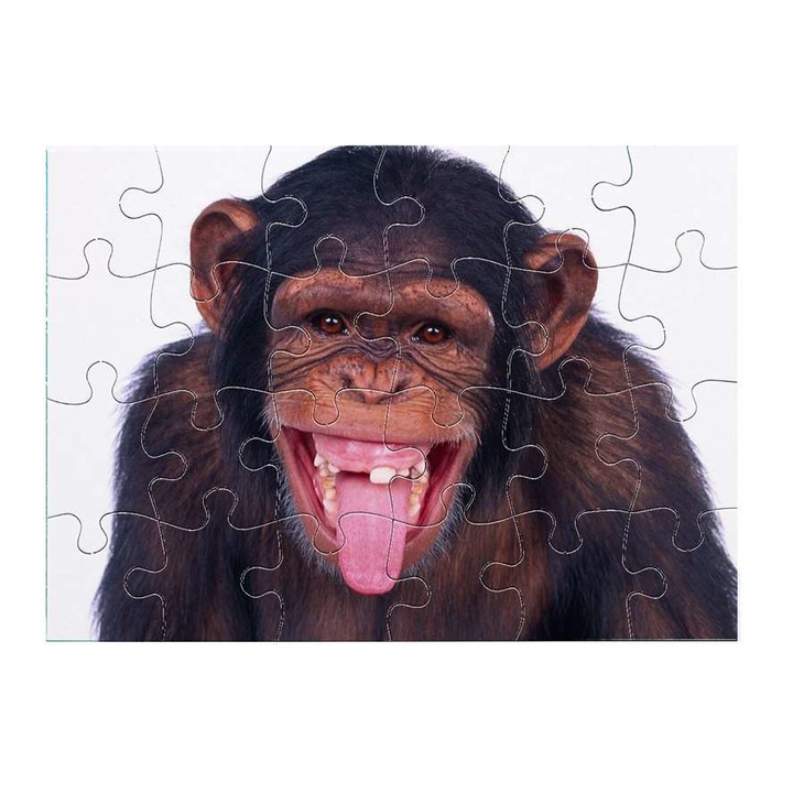 Csimpánz 3211 puzzle 24 darabos