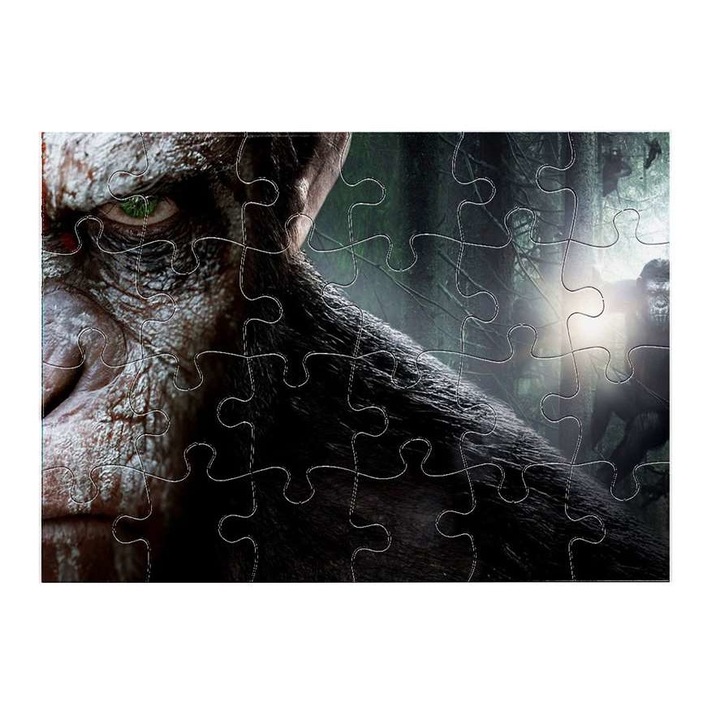 Пъзел Шимпанзе 5211 24 части