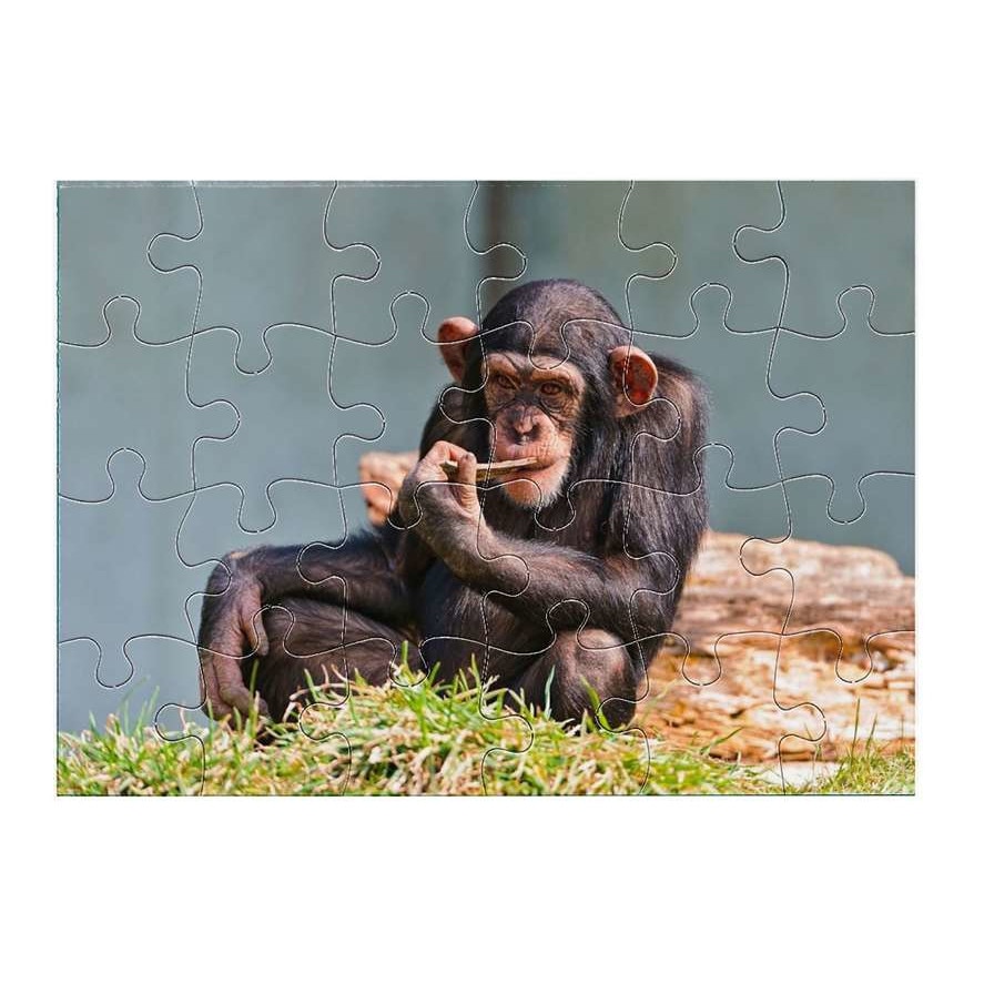 Puzzle, Mobiltokguru, Cimpanzee 1711 24 piese - eMAG.ro
