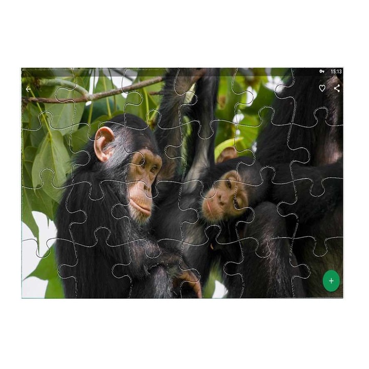 Пъзел Mobiltokguru, Шимпанзе 4811, 24 части