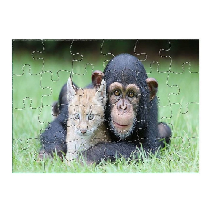 Пъзел шимпанзе 5011 24 части