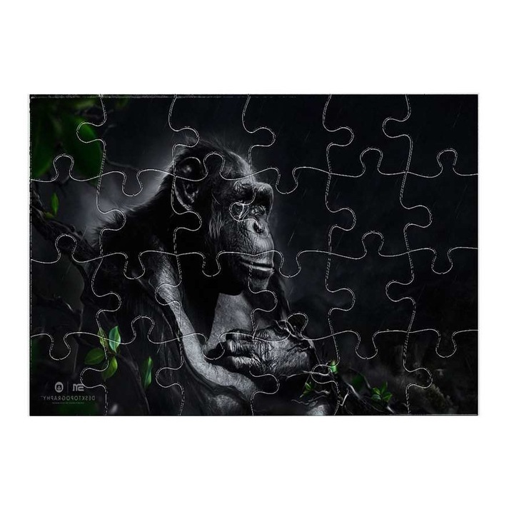 Csimpánz 4711 puzzle 24 darabos
