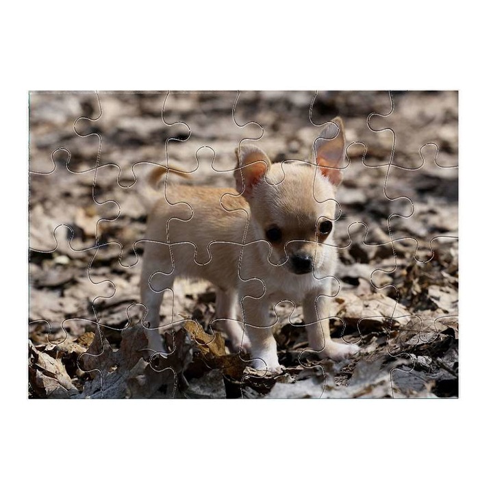 Пъзел, Чихуахуа 3111, 24 части