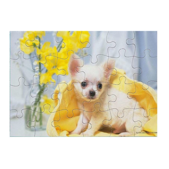 Пъзел, Чихуахуа 3811, 24 части