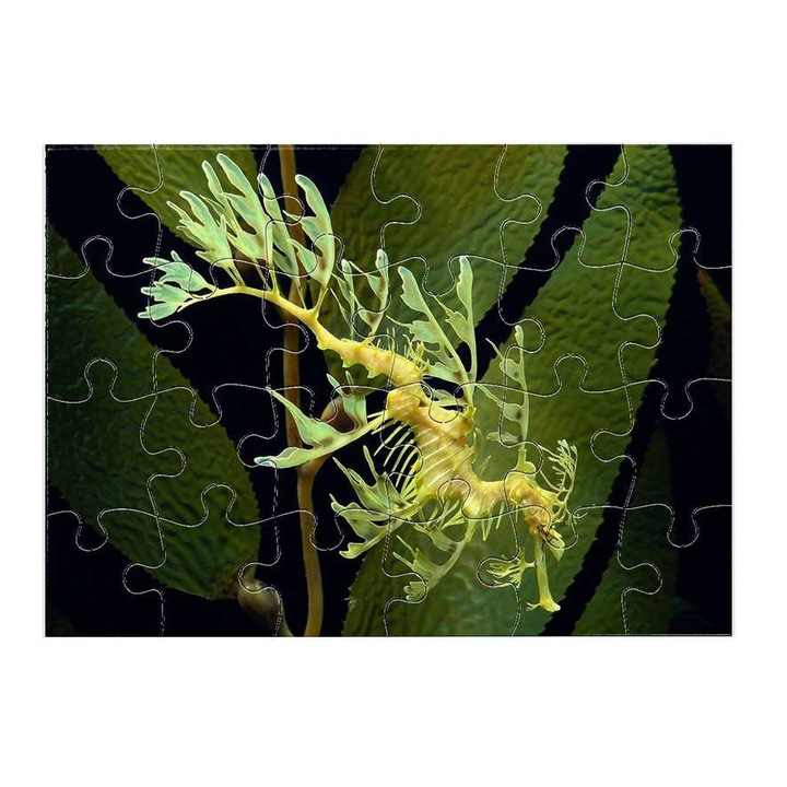 Csikóhal 4711 puzzle 24 darabos