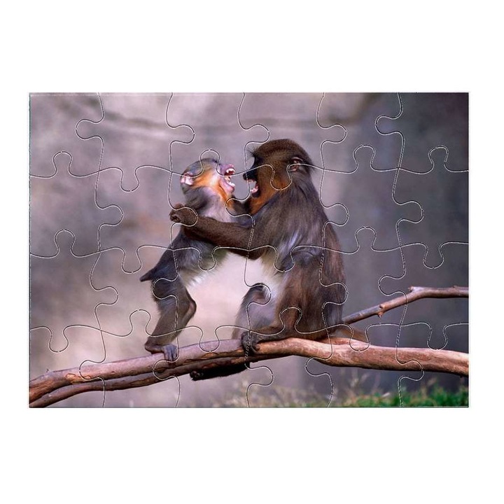 Cerkófmajom 14511 puzzle 24 darabos