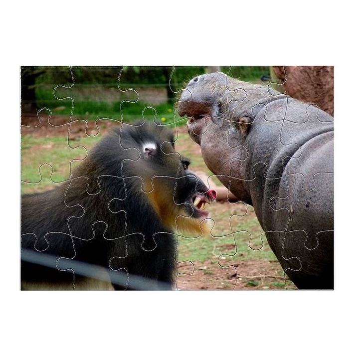 Cerkófmajom 11711 puzzle 24 darabos