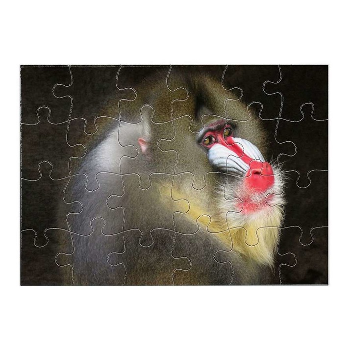 Пъзел Cerkóf monkey 12111 24 части