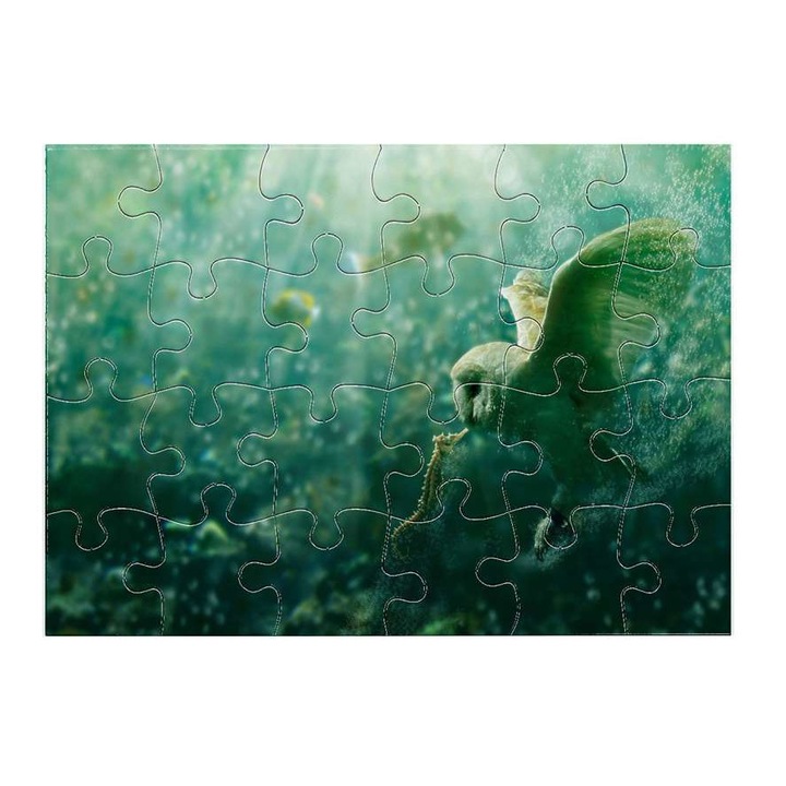 Морско конче 4811 пъзел 24 части