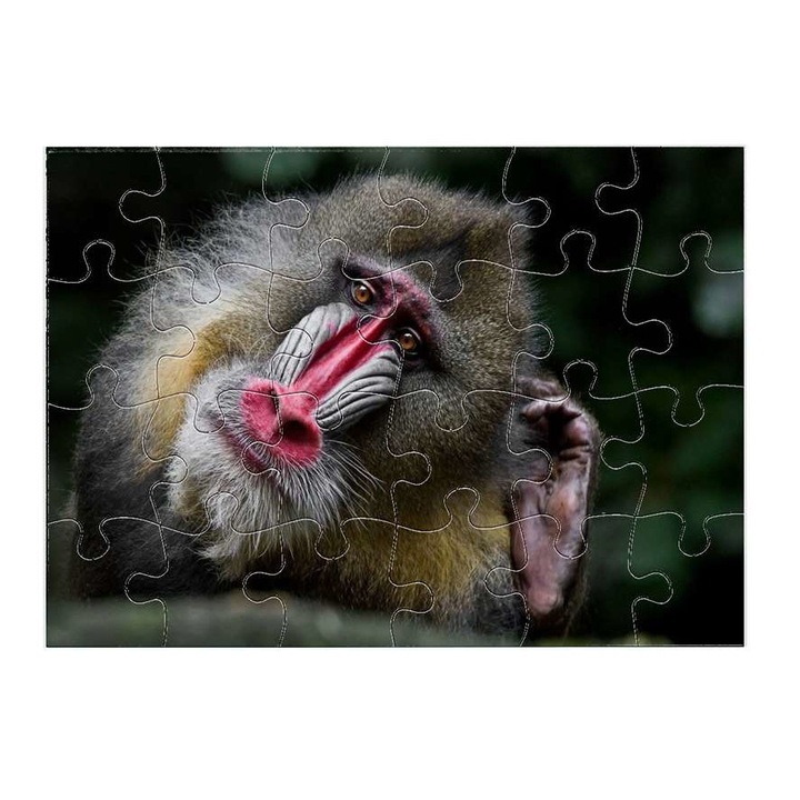 Пъзел, Cerkóf маймуна 12911, 24 части