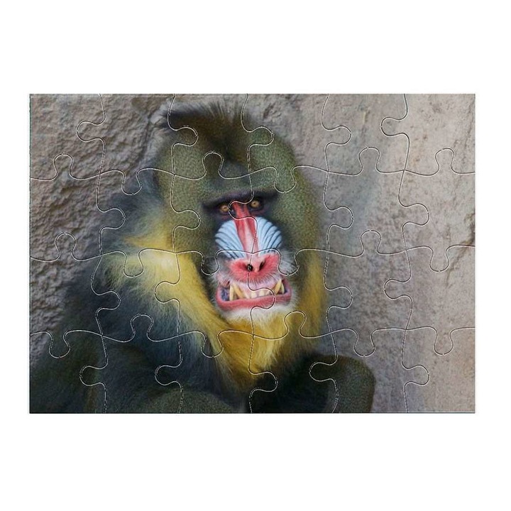 Пъзел Cerkóf маймуна 12511 24 части