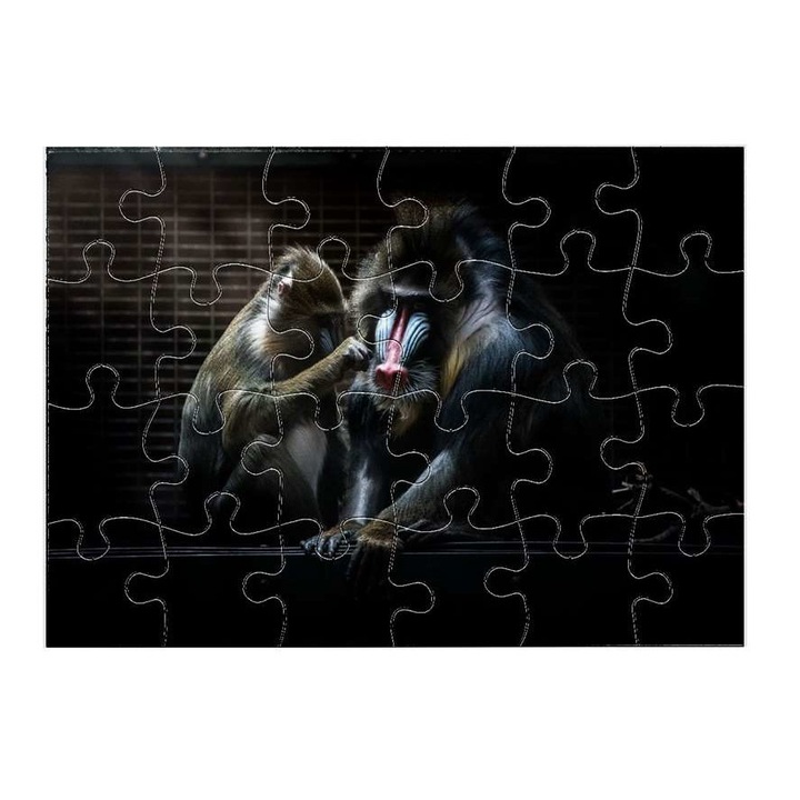 Пъзел Cerkóf маймуна 11111 24 части