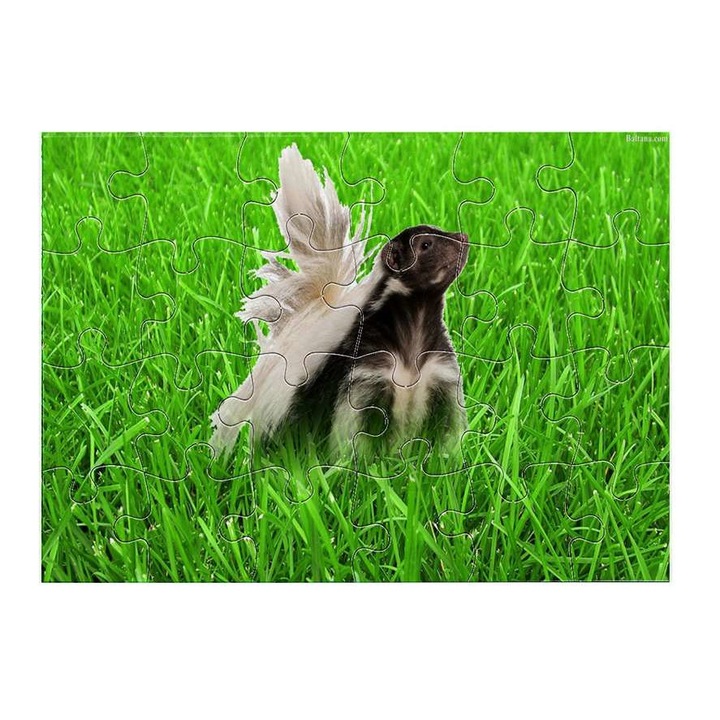 Пъзел Mobiltokguru Badger 5011 24 части