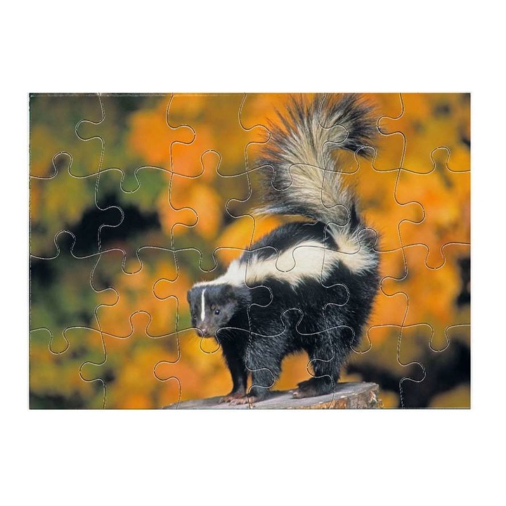 Пъзел Badger 1211 24 части