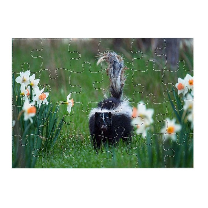 Пъзел Badger 4311 24 части