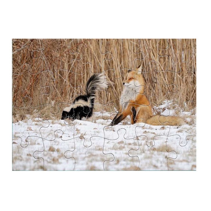 Borz 3411 puzzle 24 darabos