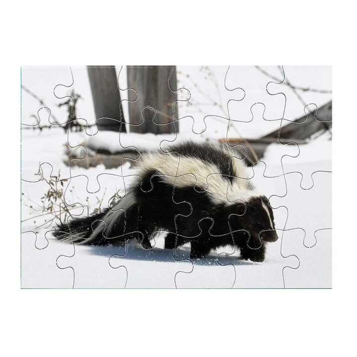 Пъзел Mobiltokguru скункс 24 части