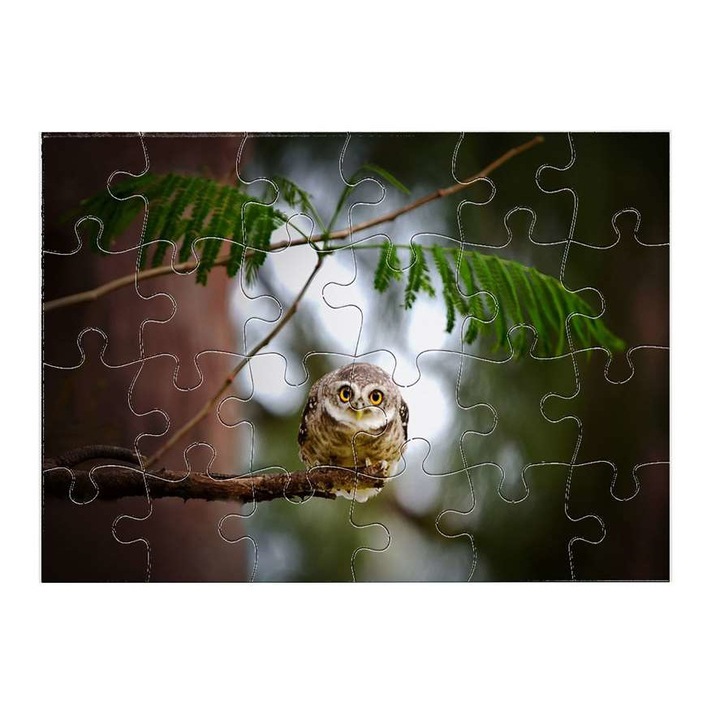 Bagoly 15811 puzzle 24 darabos