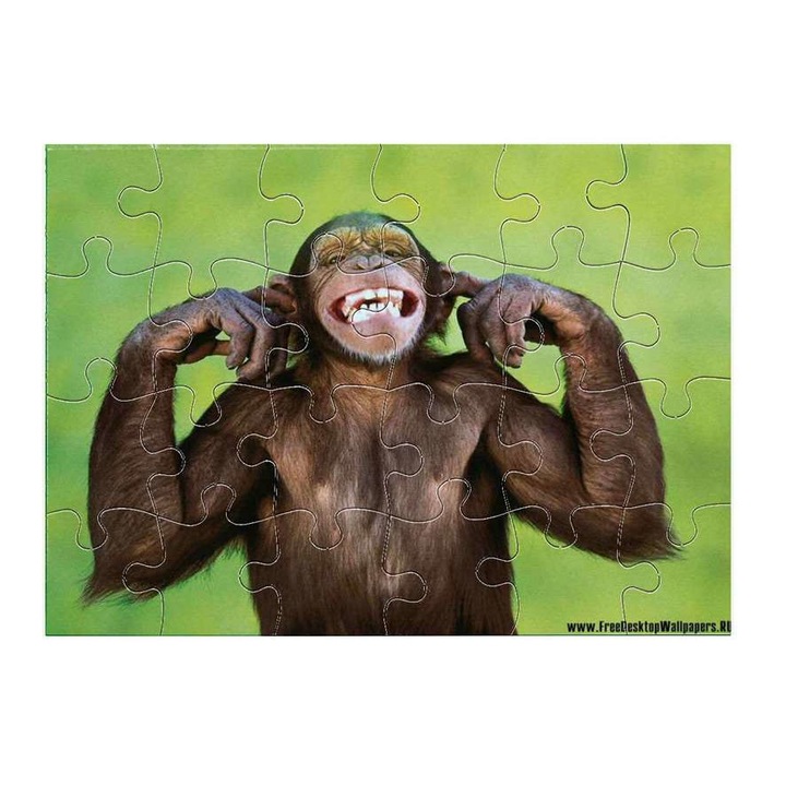 Шимпанзе 1611 пъзел 24 части