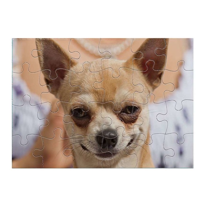 Чихуахуа 3911 пъзел 24 части