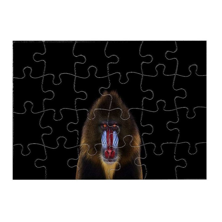 Cerkófmajom 10011 puzzle 24 darabos