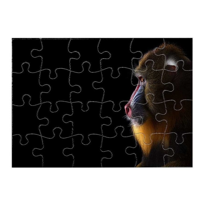 Пъзел Cerkóf маймуна 11311 24 части