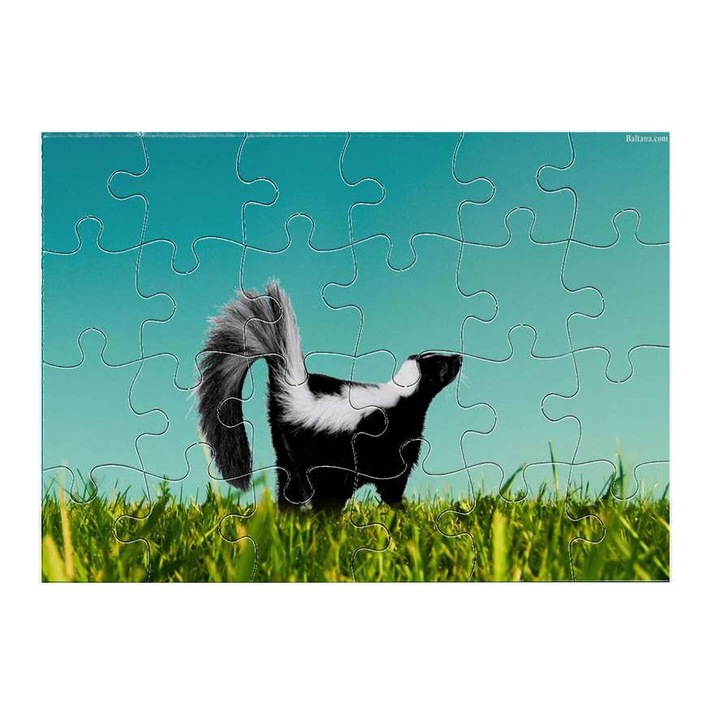 Пъзел Badger 1411 24 части