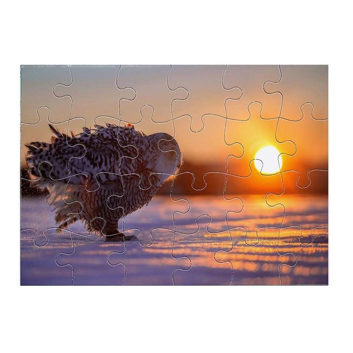 Пъзел Бухал 15311 24 части