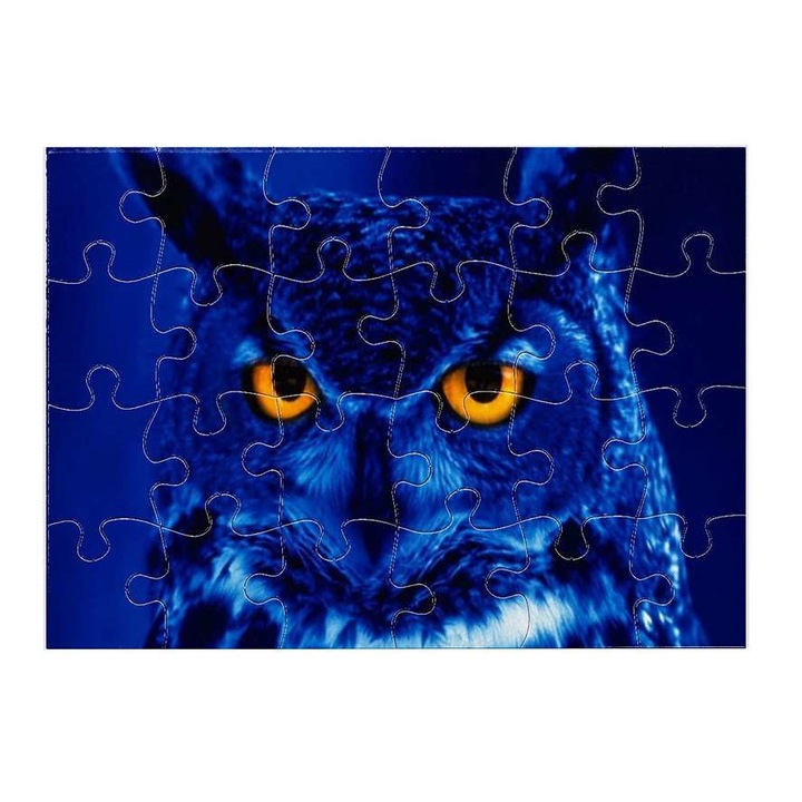 Пъзел Бухал 16311 24 части