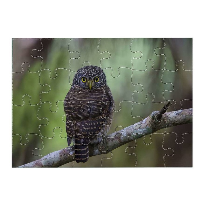 Пъзел Бухал 16011 24 части