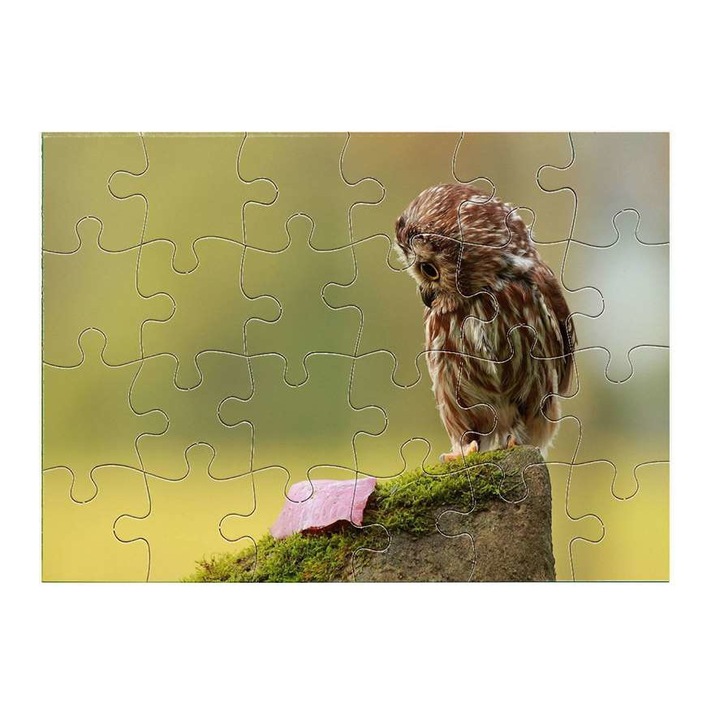 Пъзел Бухал 15011 24 части