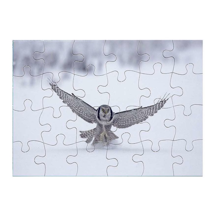 Пъзел Бухал 14811 24 части