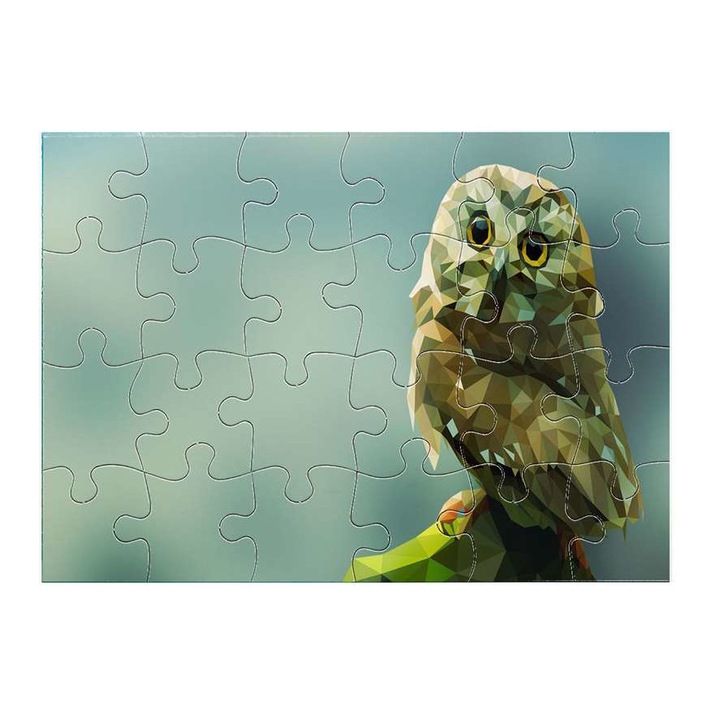 Пъзел Бухал 14211 24 части